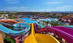 🌴 Отдых в Египте с Релакс Тур!